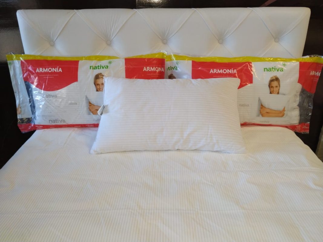 La Casa de los Sueños