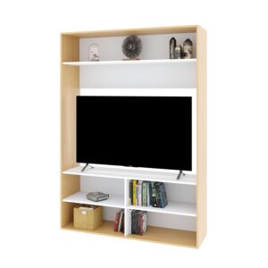 Modular Home tv 55"DVS04